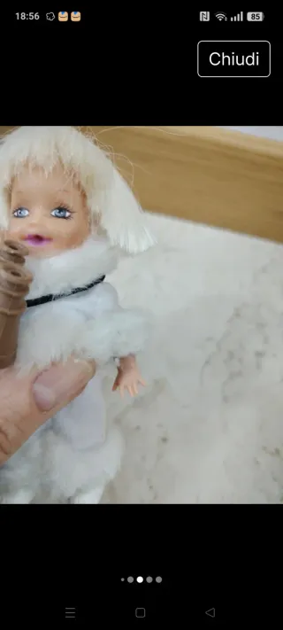 Tommy Amico di Kelly Barbie