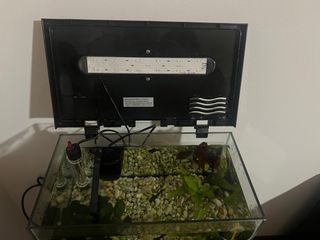 Acquario 18 litri completo