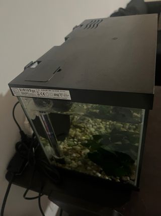 Acquario 18 litri completo