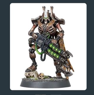 Guardia Real Necron Royal Warden