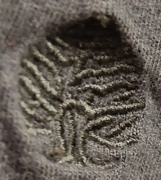 Camiseta hombre Springfield