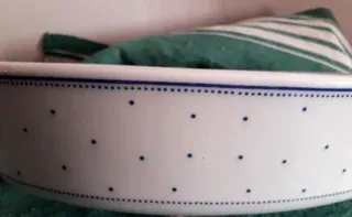 Arzberg Bavaria porcellana forno "Daily Lagune"