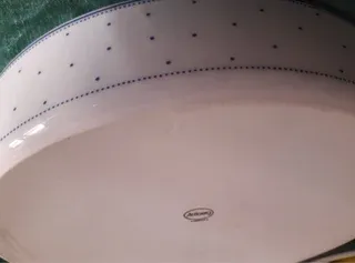 Arzberg Bavaria porcellana forno "Daily Lagune"