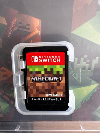 Minecraft Nintendo Switch