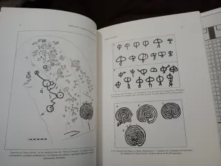 Regalo Revistas Museo Quiñones León