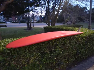 Tabla Surf Longboard 9'6 Performance