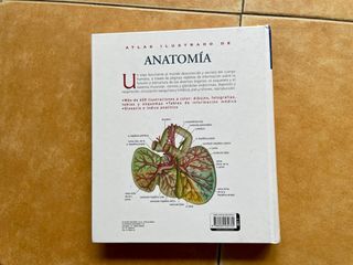 Atlas ilustrado de anatomía (Spanish Edition)