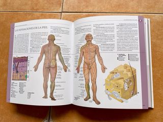 Atlas ilustrado de anatomía (Spanish Edition)