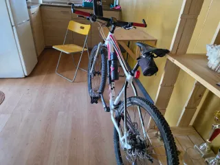 Bicicleta Montaña Blanca y Roja