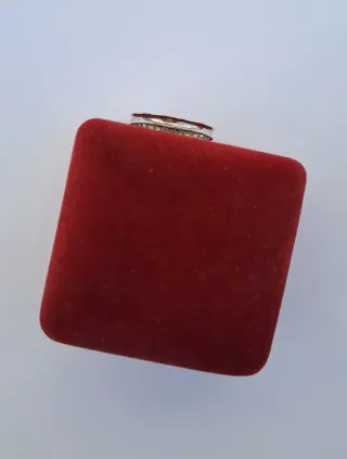 Anillo Oro Blanco 11 Circonitas. Talla 15