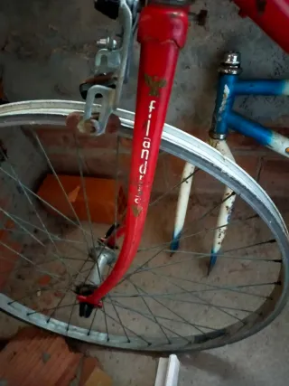 BH Cuadro de Bicicleta