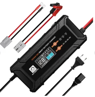 Cargador Batería litio 20A