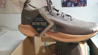 Nike Pegasus 5 GTX Trail Running Shoes