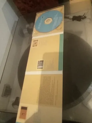 CD Bunbury - Pequeño