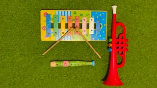 Xilófono, flauta y trompeta de juguete