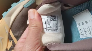 Zapatillas Nike Wildhorse 10 Marrón Naranja