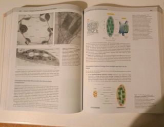 Molecular Biology of the Cell, 5th Edition