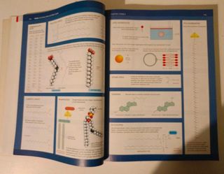 Molecular Biology of the Cell, 5th Edition