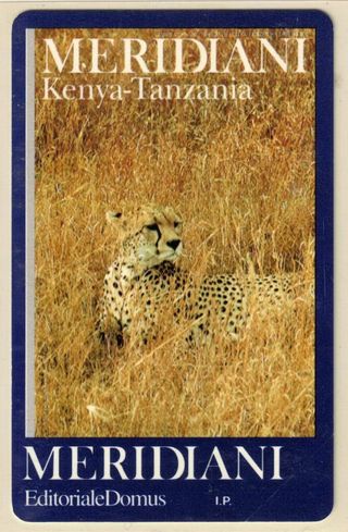 2 Schede Telefoniche NUOVE MERIDIANI