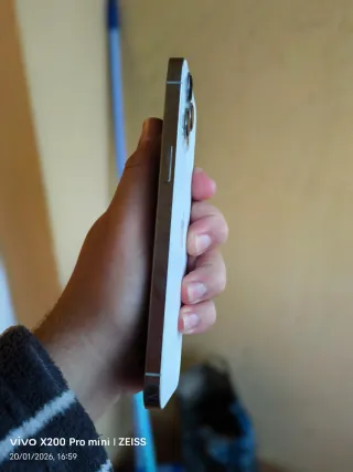 iPhone 12 Pro Max Plata