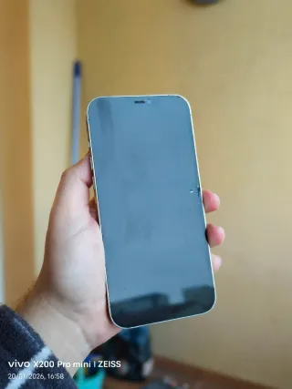 iPhone 12 Pro Max Plata