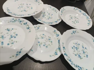 Arcopal Piatti Posti Tavola x2