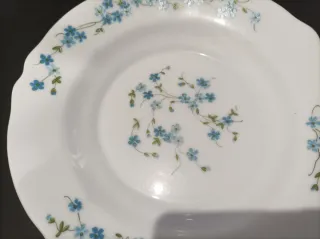 Arcopal Piatti Posti Tavola x2