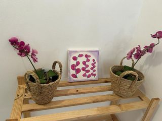 Piso en alquiler en Centro en Castellón de la Plana