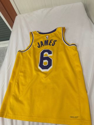 Camiseta Lakers #6 Morado y Amarillo