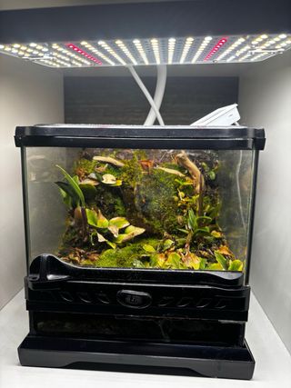 Acuario 70L + Terrario Exo Terra