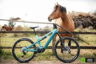 KIT Cuscinetti Telaio Bici Canyon Spectral ON