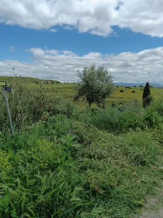 Alquiler  por dias ,semana S,zona Malaga