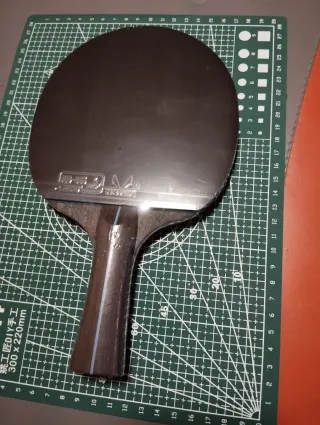 Raqueta Ping Pong LOKI pro max