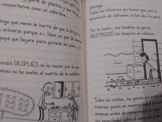 Diario de Greg: ¡A por todas!