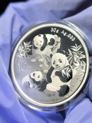 Moneda 1 Onza Plata PANDA 2025