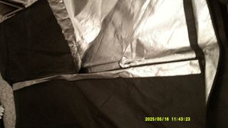 Armario de cultivo 120x120x200 + foco + 2 bombilla