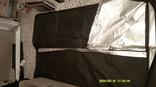 Armario de cultivo 120x120x200 + foco + 2 bombilla