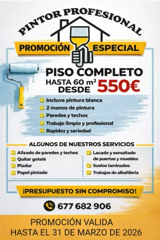 PINTOR PROFESIONAL  Presupuesto sin compromiso