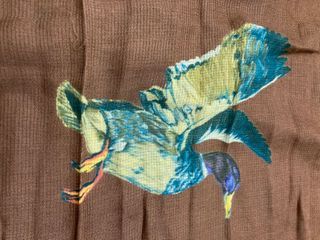 Sciarpa donna con uccelli marrone