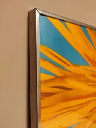 Cuadro Flor Naranja Fondo Azul