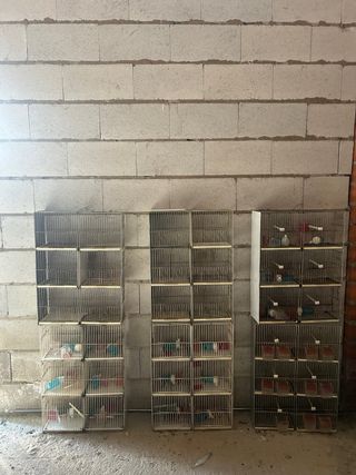 Jaulas para pájaros 6 departamentos