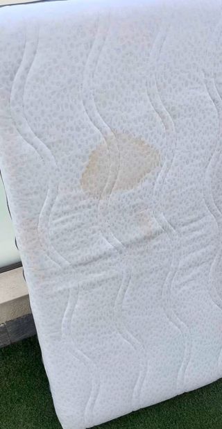 5l Limpia tapicerías, coches, sofás, colchones...