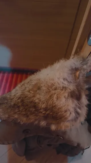 Giacca Extyn verde oliva con cappuccio