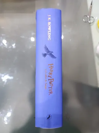 Harry Potter y el cáliz de fuego (20 Aniv. Rave...