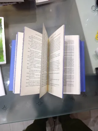 Harry Potter y el cáliz de fuego (20 Aniv. Rave...