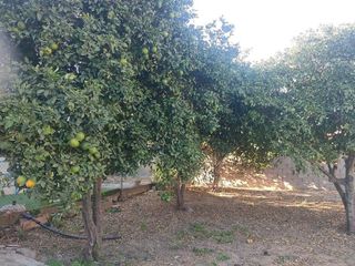 Chalet en venta en Ctra de La Playa - La Coquina en Chiclana de la Frontera