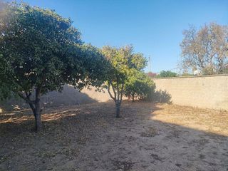 Chalet en venta en Ctra de La Playa - La Coquina en Chiclana de la Frontera