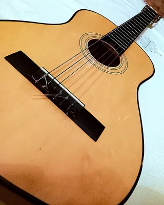 Guitarra Clásica Rocío C 7N