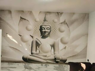 Especialista en instalación de todo tipo de papel