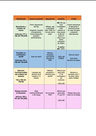 Oposición Seguridad Social Resúmenes y esquemas